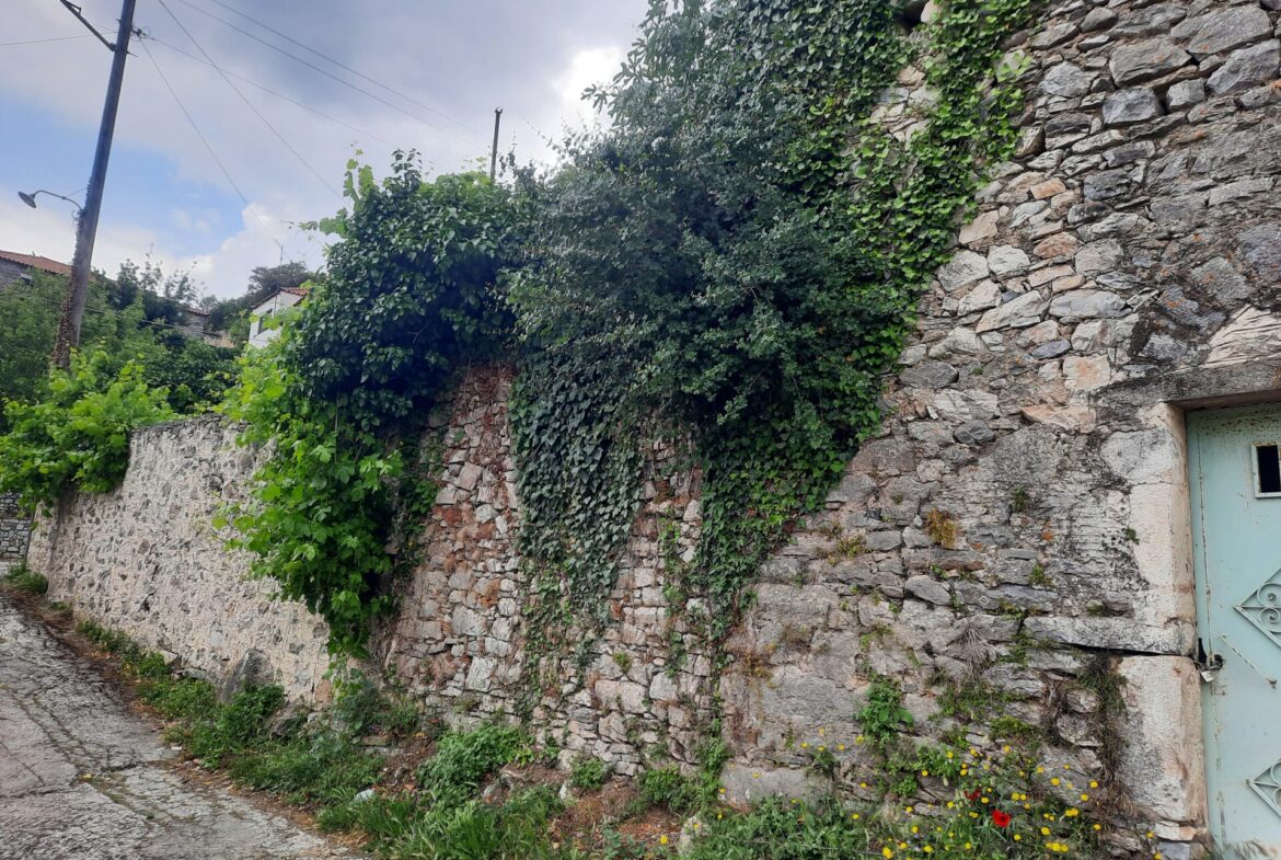 Milea (Messinia perfecture) | Stonehouse of 140m² | needs restoration
