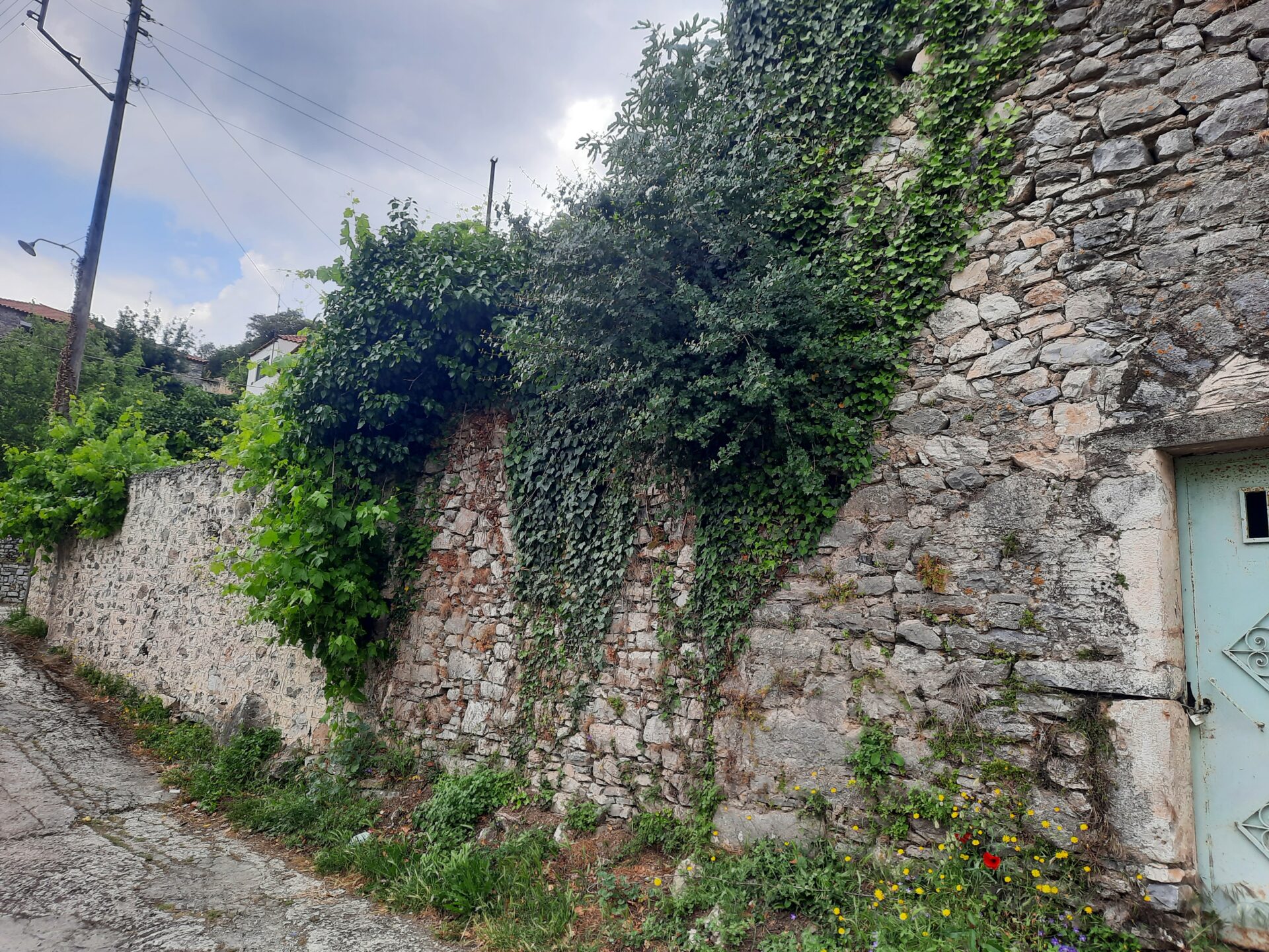 20250530_141636 Milea (Messinia perfecture) | Stonehouse of 140m² | needs restoration