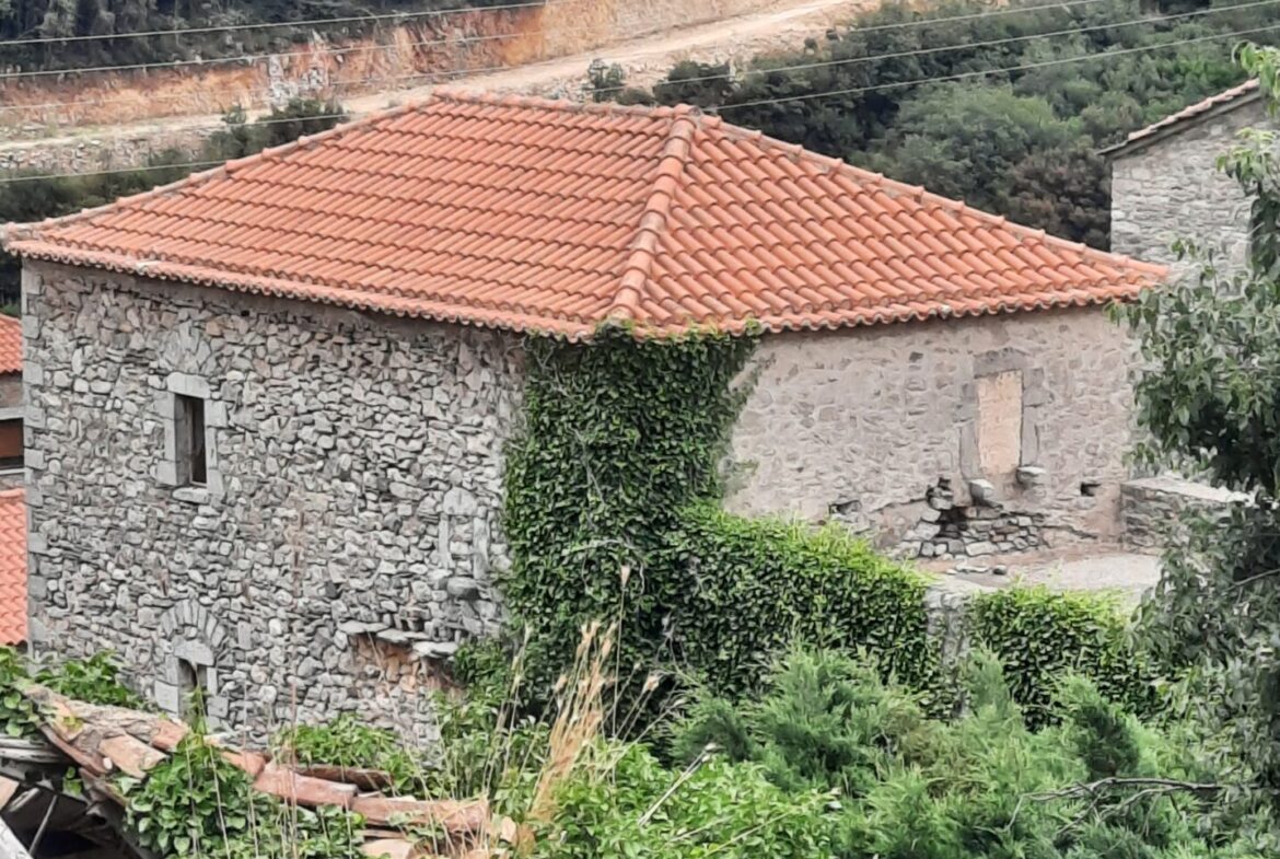 Milea (Messinia perfecture) | Stonehouse of 140m² | needs restoration