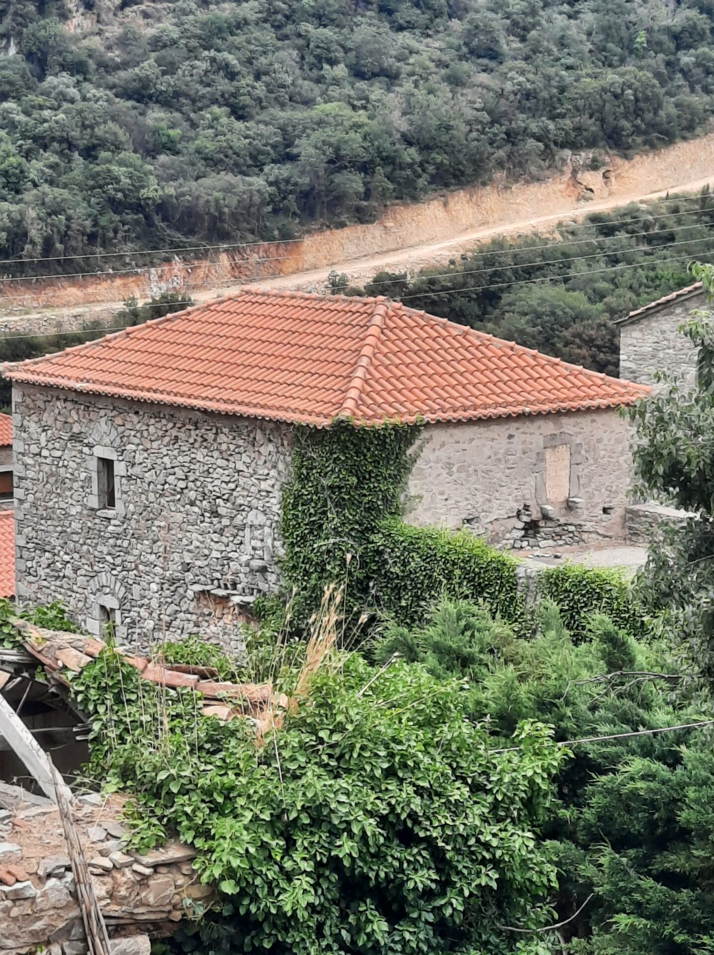 20250530_142114 Milea (Messinia perfecture) | Stonehouse of 140m² | needs restoration
