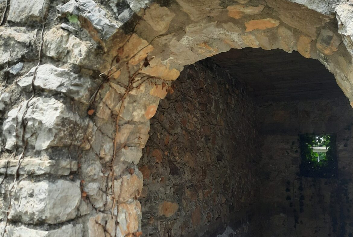 Milea (Messinia perfecture) | Stonehouse of 140m² | needs restoration