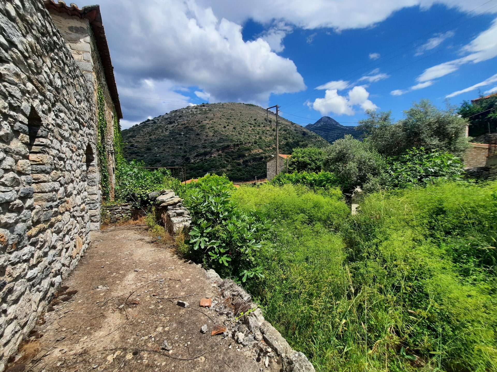 20250531_120641 Milea (Messinia perfecture) | Stonehouse of 140m² | needs restoration