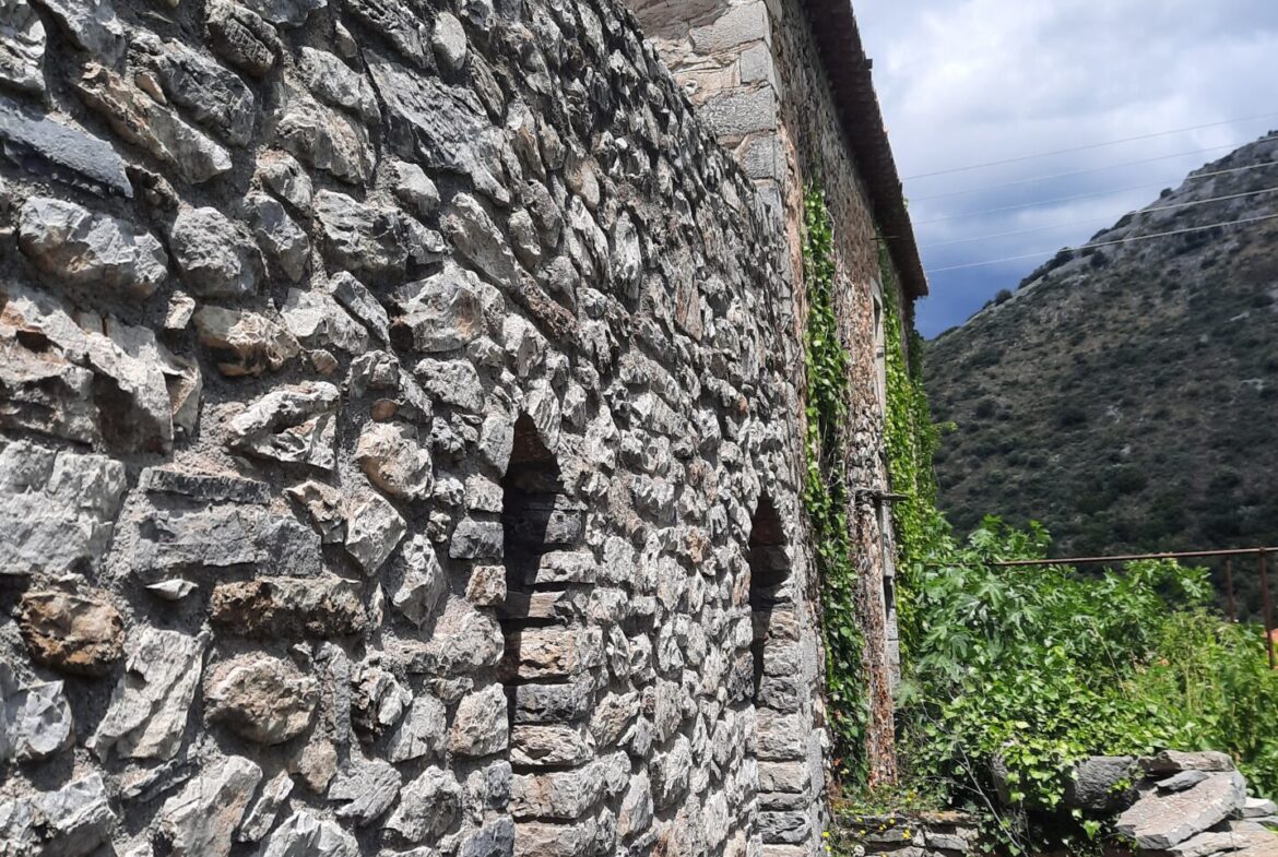Milea (Messinia perfecture) | Stonehouse of 140m² | needs restoration