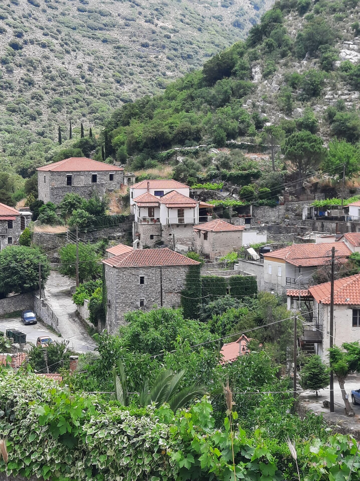 20250531_121735 Milea (Messinia perfecture) | Stonehouse of 140m² | needs restoration