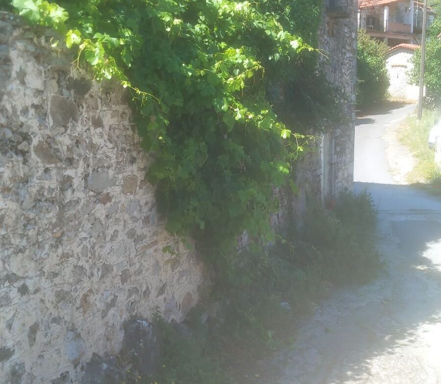 Milea (Messinia perfecture) | Stonehouse of 140m² | needs restoration