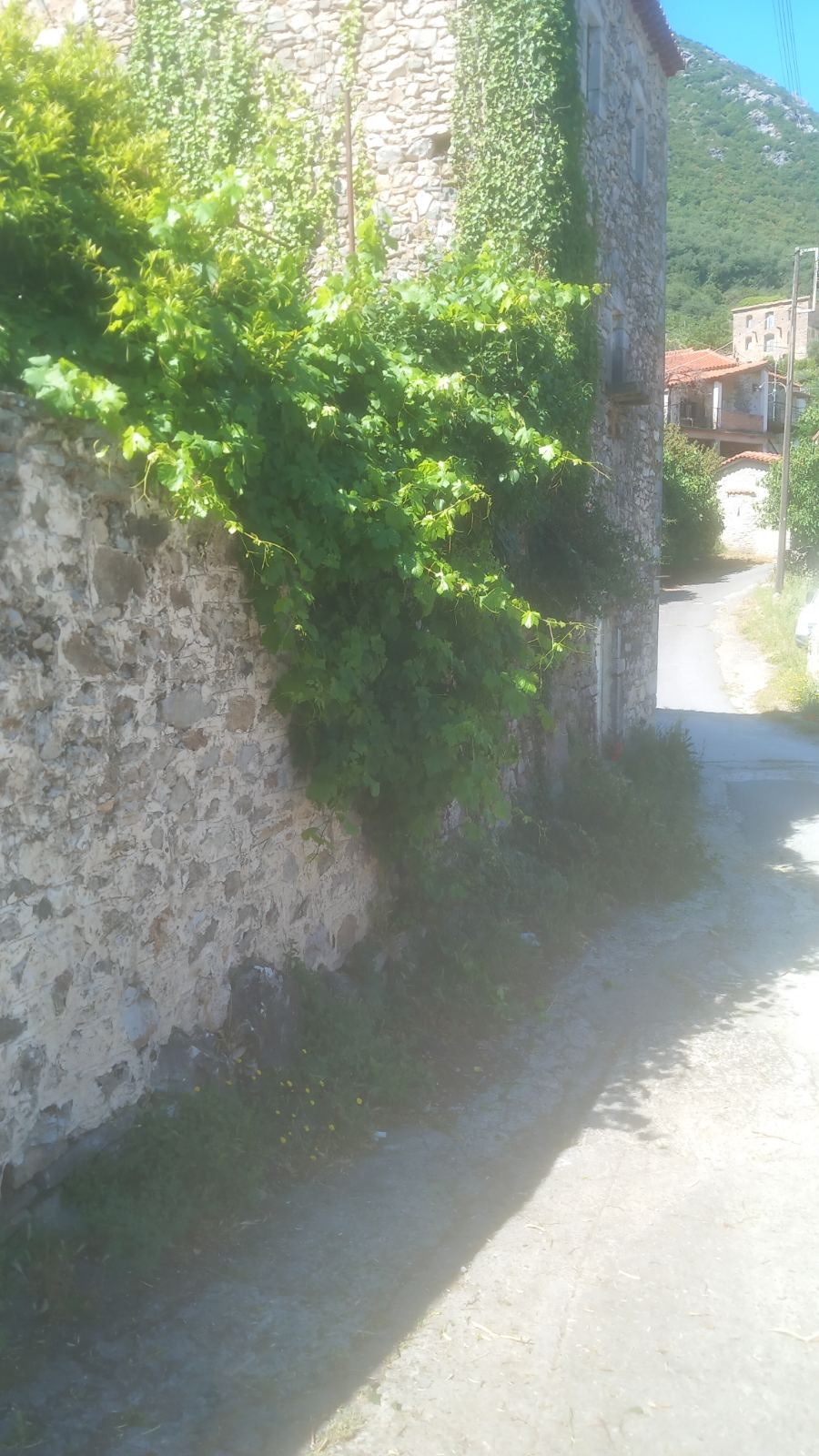 IMG-2c0152b3185663bb8a0de94baf8f0938-V Milea (Messinia perfecture) | Stonehouse of 140m² | needs restoration