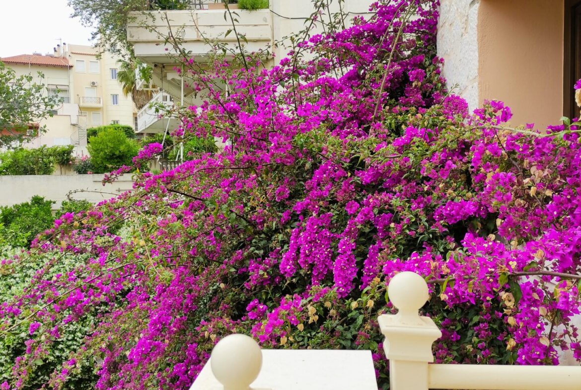 Elegant 3-Story Villa in prestigious Voula – 260m²